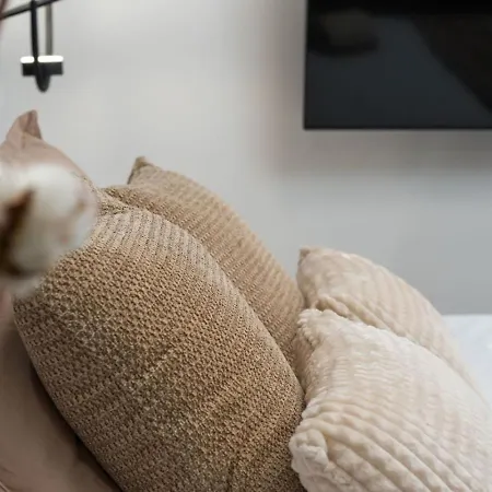 Amber Bay - Homfi Collection