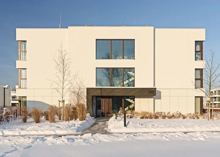 Amber Bay - Homfi Collection